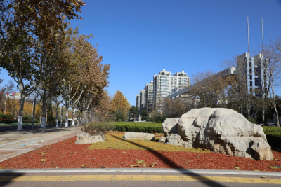 德州园林：彩色有机覆盖物 点“靓”城市冬季风景线