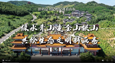 沿着总书记的足迹看山东｜绿水青山变金山银山，共绘生态文明新画卷