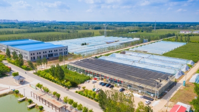 走在前 挑大梁·片区化推进乡村振兴的山东实践 | 德州市柴胡店镇：农文旅融合激发新动能