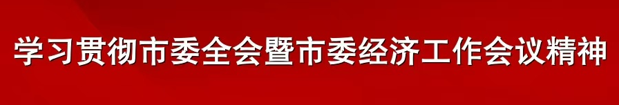 聚焦市委十六届十次全会暨市委经济工作会议③ |深度融入重大战略  拓展发展新空间