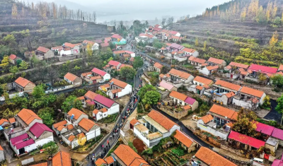 省情研究所｜片区化推进乡村振兴的山东实践：从“连片”向“深融”