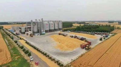 闪电评论｜执“三农”妙笔 绘齐鲁现代化华章