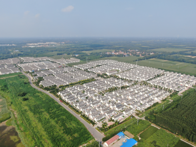 走在前 挑大梁·片区化推进乡村振兴的山东实践 | “夏津椹好”乡村振兴齐鲁样板片区：桑林织锦绣  文旅促振兴