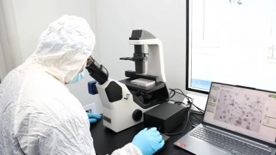 德州天衢新区：一套产品体系破解类器官培养全流程