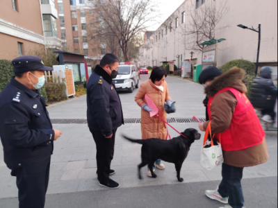 德州城管：绣花功夫提品质  精细管理展新颜