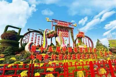 喜报！德州锦绣川景区在第十五届中国菊花展览会斩获7奖项