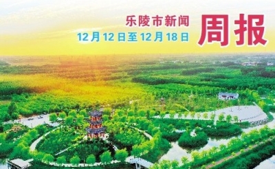 乐陵市新闻周报（12月12日至12月18日）