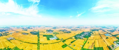 走在前 挑大梁·非凡“十四五” | 奋楫争先，阔步迈向现代农业强市——德州市“十四五”经济社会发展系列综述之十八