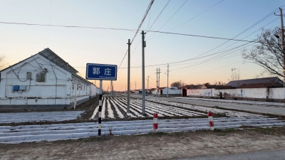 平原县王庙镇：发展“边角经济” 绘就乡村振兴新图景