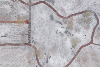 诗·视频｜雪梦：初雪帖