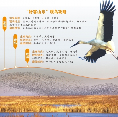 经济观潮｜当“鲲鹏”在黄河口醒来