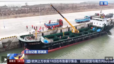 视频丨直击海洋牧场转场！我国迎来三文鱼陆海接力养殖时代