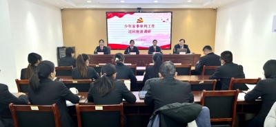 平原县人民法院开展少年家事审判专题座谈