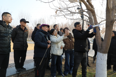 德州园林举办2025年度冬季培训第一期暨园林绿化管养专题培训