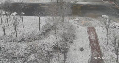 诗 | 张桂婷：入冬第一场雪