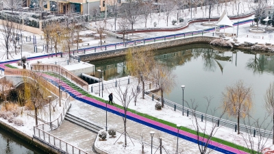 散文 | 李凤林：漫游雪霁之减河湿地