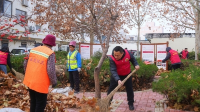 乐陵市审计局：清落叶护家园