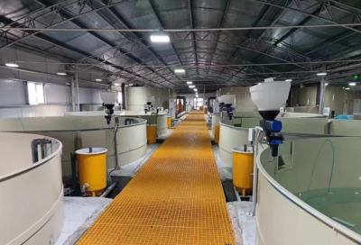 开局“十五五”奋斗正当时丨用上循环水 效益翻了番 