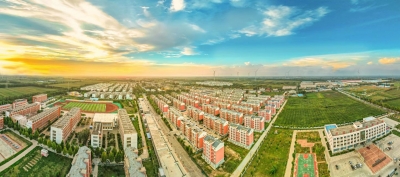 走在前 挑大梁·片区化推进乡村振兴的山东实践 | 禹城市房寺镇：“三联”驱动 绘就乡村振兴新图景