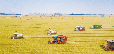 2025回顾·经济大事记 | 德州种粮经验获全国推广