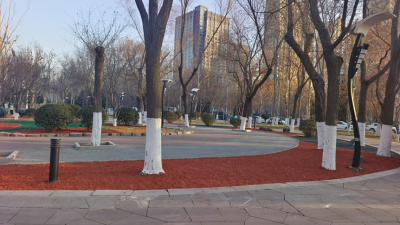 德州园林：彩色有机覆盖物焕新游园景观  