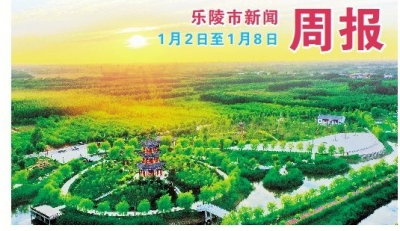 乐陵市新闻周报（1月2日至1月8日）