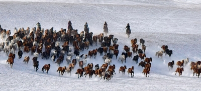 散文｜鲁秀丽：乌兰布统冬日赞歌