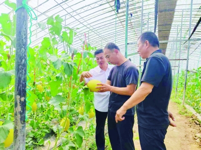 乐陵市派驻花园镇周家新村第一书记杨清磊： “就想多为乡亲们干点实事”