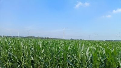 诗｜王树理：庆云县苦水区的变迁