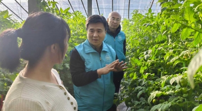 德州市农业科学研究院：专家田间支招保丰产