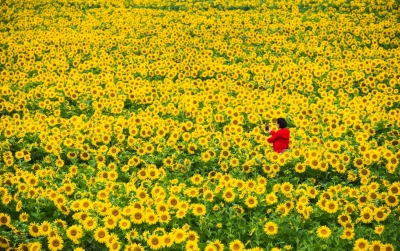 散文｜郭圣红：家运随国兴 党恩记心间