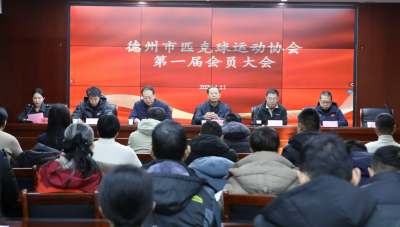 德州市匹克球运动协会成立