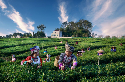 2025回顾·经济大事记 | 鲁渝同心绘新卷 德秀协作谱华章——2025年德州秀山东西部协作工作综述