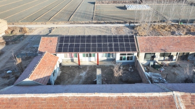 全国首例“一发双收”逆变器户用光伏在德州并网发电 | 数据直采直控 用户收益透明