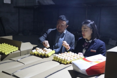 平原农商银行平原支行客户经理许硕：平凡岗位的守护者