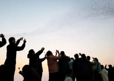 两会热评 | 幸福生活，我们团结拼搏共奋斗