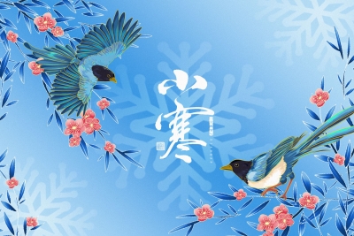 德报说节气 | 今日小寒！银装映冬色 梅香暖乾坤