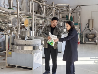 义渡口镇：深耕基层善治 办好村级实事