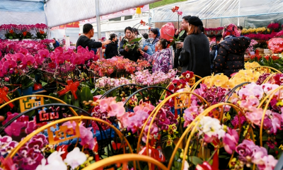 诗 | 刘洪玮 : 丙午元日（外二首）