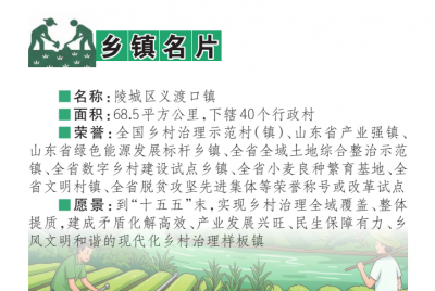 基层学思行 | 强化支部引领 推进乡村善治