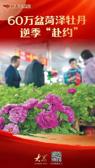 新春走基层丨60万盆菏泽牡丹逆季“赴约”