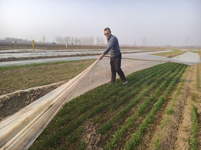 【新春走基层】麦田里的“85后” 不负春光忙春管