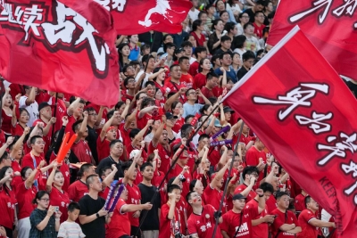 散文 | 李凤林：候鸟人还家过年的心