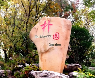 他山之玉 ｜大鹏诗书画院诗词选