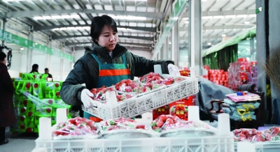 新春走基层|乐陵：农贸市场备货忙