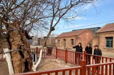 宁津县人民检察院：精准护航促发展