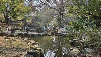 散文｜谭晓红：初冬与岳麓山相逢