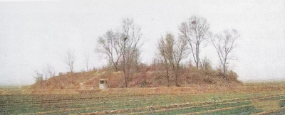 文史｜李兴智：田冢子与田冢村漫话