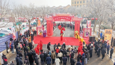 运河畔年味浓！武城县“寻味中国年”运河大集火热开启