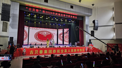 2026年武城县春节联欢晚会举行